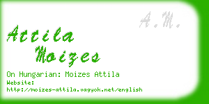 attila moizes business card